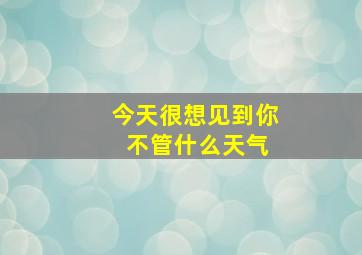 今天很想见到你 不管什么天气